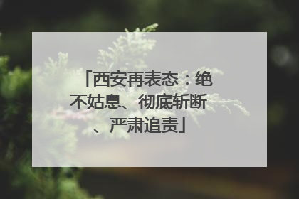 西安再表态：绝不姑息、彻底斩断、严肃追责