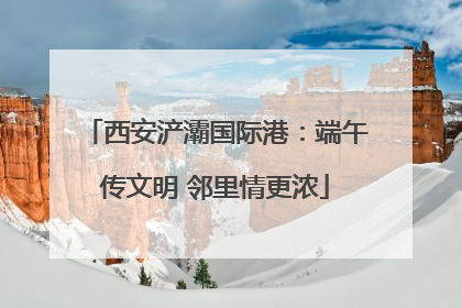 西安浐灞国际港：端午传文明 邻里情更浓