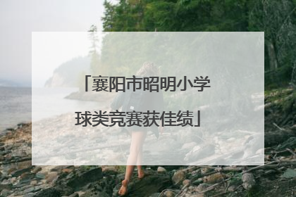 襄阳市昭明小学球类竞赛获佳绩
