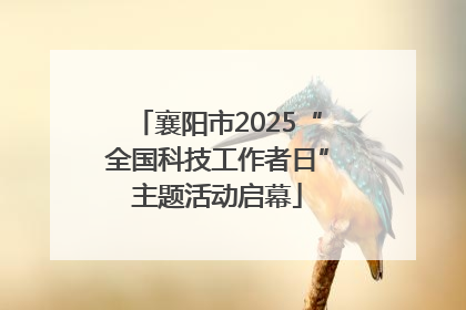 襄阳市2025“全国科技工作者日”主题活动启幕