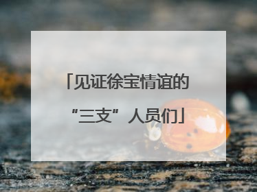 见证徐宝情谊的“三支”人员们