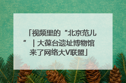 视频里的“北京范儿”｜大葆台遗址博物馆来了网络大V联盟