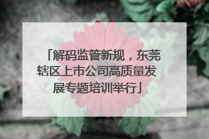 解码监管新规，东莞辖区上市公司高质量发展专题培训举行