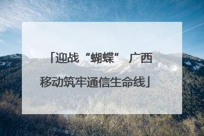 迎战“蝴蝶” 广西移动筑牢通信生命线