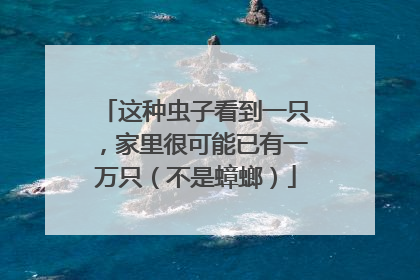 这种虫子看到一只，家里很可能已有一万只（不是蟑螂）