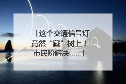 这个交通信号灯竟然“藏”树上！市民盼解决……