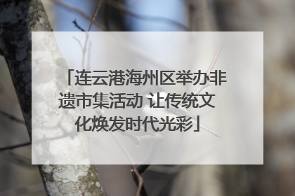 连云港海州区举办非遗市集活动 让传统文化焕发时代光彩