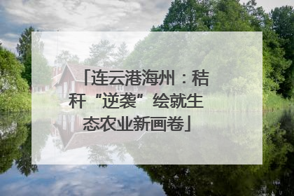 连云港海州：秸秆“逆袭”绘就生态农业新画卷