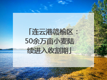 连云港赣榆区：50余万亩小麦陆续进入收割期