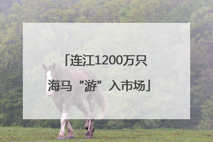 连江1200万只海马“游”入市场
