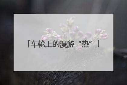 车轮上的漫游“热”