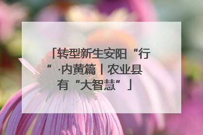 转型新生安阳“行”·内黄篇丨农业县有“大智慧”