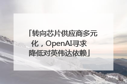 转向芯片供应商多元化，OpenAI寻求降低对英伟达依赖