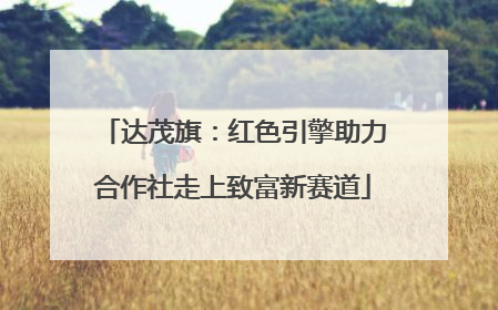 达茂旗：红色引擎助力合作社走上致富新赛道