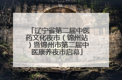 辽宁省第二届中医药文化夜市（锦州站）暨锦州市第二届中医康养夜市启幕