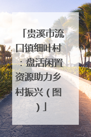 贵溪市流口镇细叶村：盘活闲置资源助力乡村振兴（图）