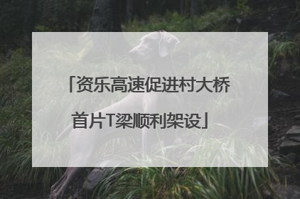 资乐高速促进村大桥首片T梁顺利架设