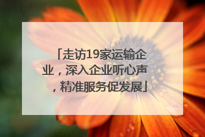 走访19家运输企业，深入企业听心声，精准服务促发展