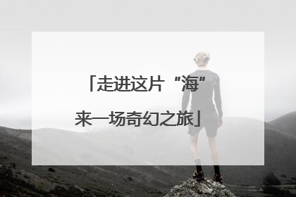走进这片“海”来一场奇幻之旅