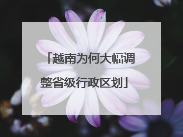 越南为何大幅调整省级行政区划