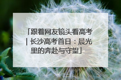 跟着网友镜头看高考｜长沙高考首日：晨光里的奔赴与守望