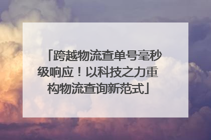 跨越物流查单号毫秒级响应！以科技之力重构物流查询新范式
