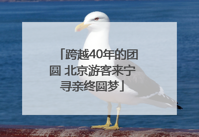 跨越40年的团圆 北京游客来宁寻亲终圆梦