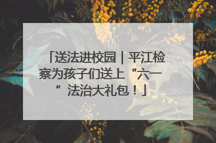 送法进校园｜平江检察为孩子们送上“六一”法治大礼包！
