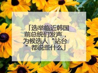 选举临近韩国前总统们发声，为候选人“站台”都说些什么