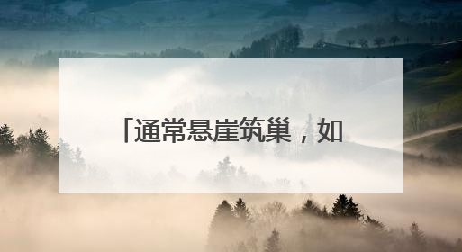通常悬崖筑巢，如今首钢园安家！还孵出10只萌宝宝