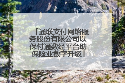通联支付网络服务股份有限公司以保付通数经平台助保险业数字升级