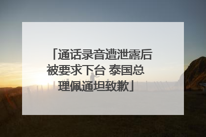 通话录音遭泄露后被要求下台 泰国总理佩通坦致歉
