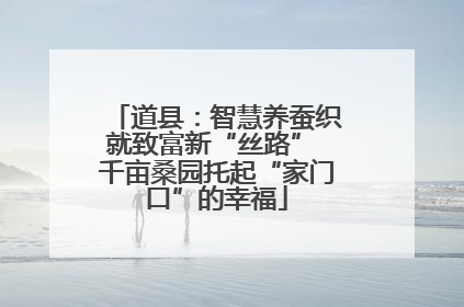道县：智慧养蚕织就致富新“丝路” 千亩桑园托起“家门口”的幸福