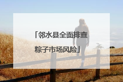 邻水县全面排查粽子市场风险