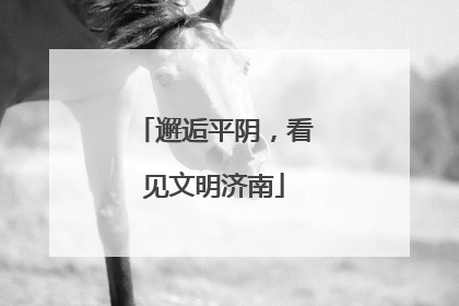 邂逅平阴，看见文明济南