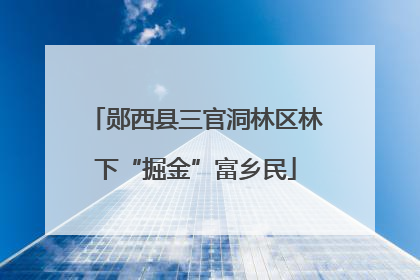 郧西县三官洞林区林下“掘金”富乡民
