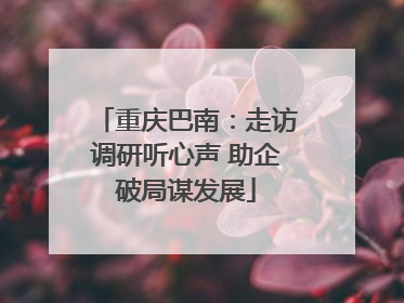 重庆巴南：走访调研听心声 助企破局谋发展
