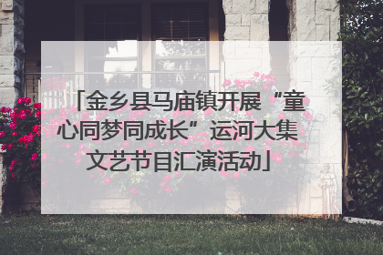 金乡县马庙镇开展“童心同梦同成长”运河大集文艺节目汇演活动