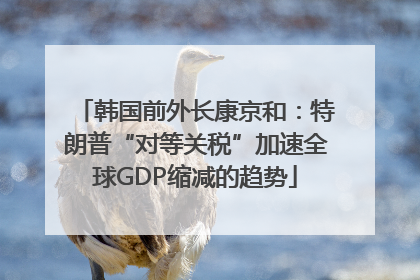 韩国前外长康京和：特朗普“对等关税”加速全球GDP缩减的趋势