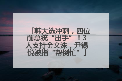 韩大选冲刺，四位前总统“出手”！3人支持金文洙，尹锡悦被指“帮倒忙”