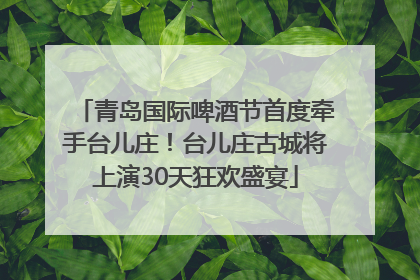 青岛国际啤酒节首度牵手台儿庄！台儿庄古城将上演30天狂欢盛宴