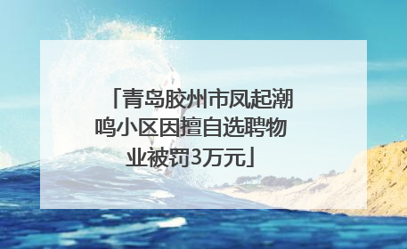 青岛胶州市凤起潮鸣小区因擅自选聘物业被罚3万元