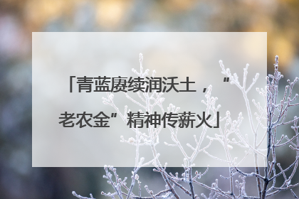青蓝赓续润沃土，“老农金”精神传薪火