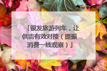 银发旅游列车，让供需有效对接（提振消费一线观察）
