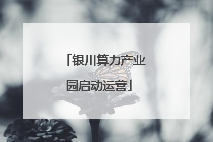 银川算力产业园启动运营