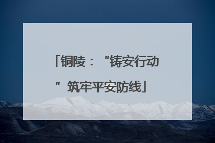 铜陵：“铸安行动”筑牢平安防线