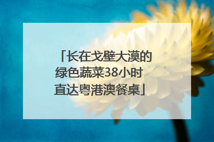 长在戈壁大漠的绿色蔬菜38小时直达粤港澳餐桌