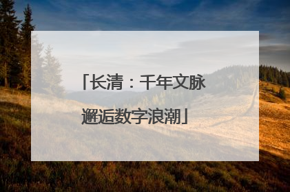 长清：千年文脉邂逅数字浪潮