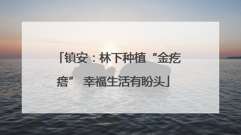 镇安：林下种植“金疙瘩” 幸福生活有盼头