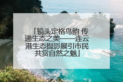 镜头定格鸟韵 传递生态之美——连云港生态摄影展引市民共赏自然之魅